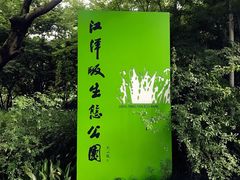 -西湖风景区-江洋畈生态公园