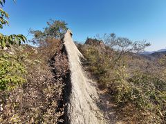 -大岭沟猕猴桃谷风景区