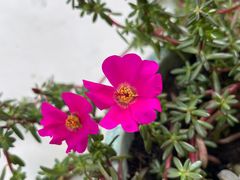 -成都泥邦陶艺民宿(洛带店)