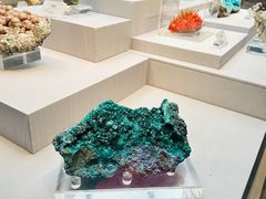 -湖南省地质博物馆