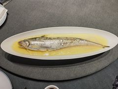 -沈灶河豚宴·河豚融合餐厅(汉中路店)