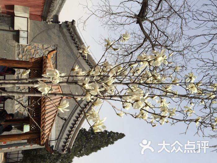 敕建大觉禅寺大觉寺图片 - 第1张