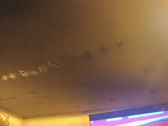 -板凳鲜酿·精酿啤酒(科华北路店)