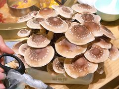 -鲜货俚鲜火锅(青果路店)