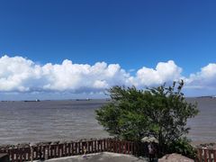 -上海滨江森林公园