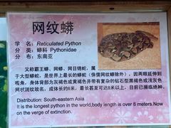 -上海大自然野生昆虫馆(东方明珠·爬宠昆虫探索中心)