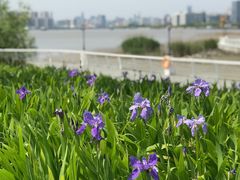 -上海山野camping·户外天幕烧烤·团建拓展营地