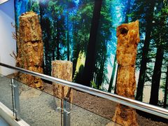 -延庆地质公园博物馆