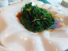 -望乡楼上海菜(日月光店)