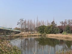 -白鹭湾湿地公园