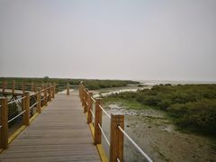 -北海金海湾红树林生态旅游区