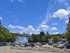 -胜华驾校·小猫学车(银都店)