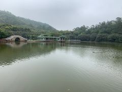 -大雁山风景区