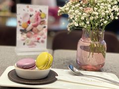 -PAUL LAFAYET 法式甜品(港汇广场店)