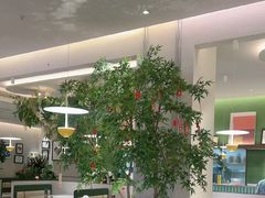 -Aqua Oasis 水天堂(太湖中心mall店)