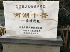 -西湖外事游船(花港观鱼码头)
