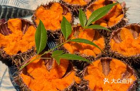 Fresh Whole Live Sea Urchin All-You-Can-Eat