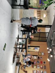 -T8 SALON