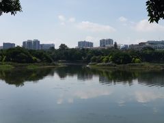 -南宁南湖公园
