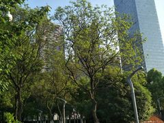 -天鹅湖体育公园