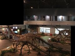-自贡恐龙博物馆