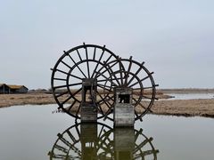 -宁波杭州湾国家湿地公园