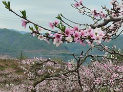 -河口景区