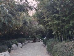 -迎泽公园