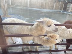 -杭州野生动物世界