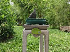 -晓港公园