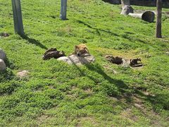 -西安秦岭野生动物园