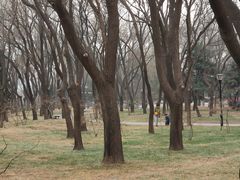 -玲珑塔公园