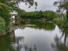 -新江湾城公园