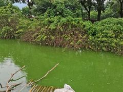 -无锡动物园·太湖欢乐园
