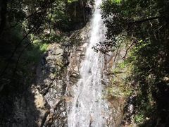 -大余丫山旅游度假区
