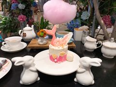 美人鱼重生-随心小姐