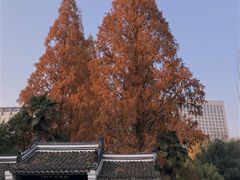-包公祠