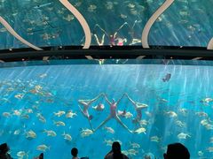 -瑞德姆美人鱼海底演艺主题餐厅(亚龙湾店)