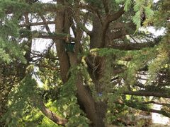 -国家植物园南园