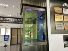 一楼鱼缸-常熟玉蕙口腔医院