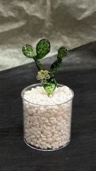 -烬·烧玻璃diy灯工玻璃艺术·银饰工作室