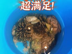 -三亚太阳湾柏悦酒店