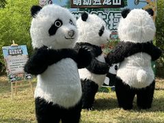 -五龙山野生动物王国