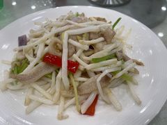 -姚林轩