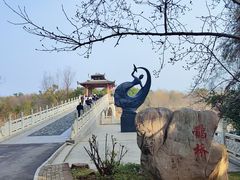 -东湖落雁景区