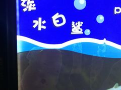 -重庆欢乐海底世界