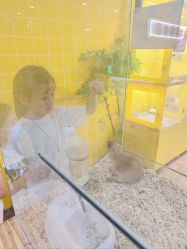 点击看大图 -神奇动物撸宠馆·羊驼·小浣熊·异宠(豫园店)