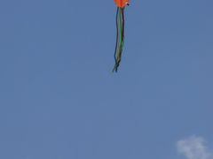 -江阴敔山湖公园