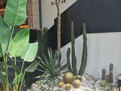 -桉树林A coffee 森林餐厅(三圣乡店)