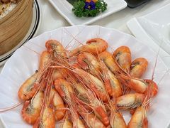 -嘉禧大酒楼(康城广场店)